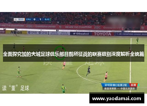 全面探究加的夫城足球俱乐部目前所征战的联赛级别深度解析全貌篇