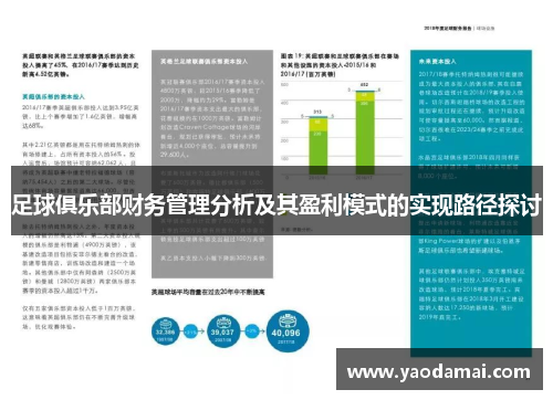 足球俱乐部财务管理分析及其盈利模式的实现路径探讨