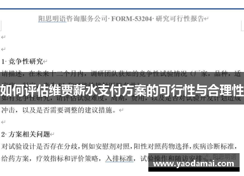 如何评估维贾薪水支付方案的可行性与合理性