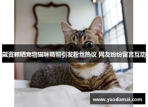 戴资颖晒宠物猫咪萌照引发粉丝热议 网友纷纷留言互动 戴资颖晒宠物猫咪萌照引发粉丝热议 网友纷纷留言互动